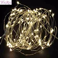 FENGRISE Wedding Decoration Events 2m LED Light String Waterproof Battery Bubble Party Supplies Festive Lantern Car