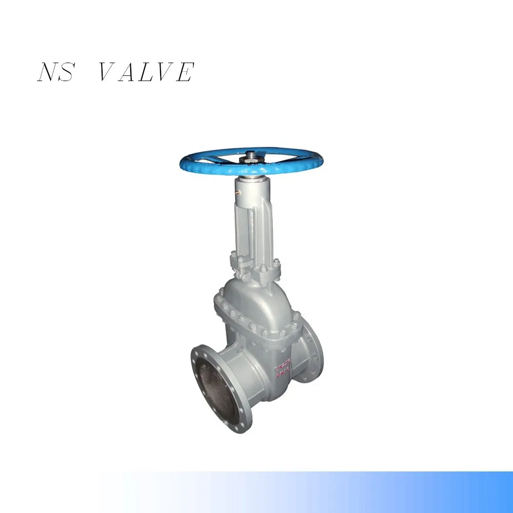 
WCB SS304 SS316 ASME B16.5 Calss300 Flanged Gate valve 