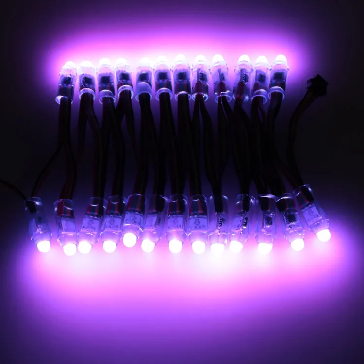 Водонепроницаемое Наружное Декоративное освещение WS2818 ws2811 12 мм rgb Пиксельная светодиодная гирлянда