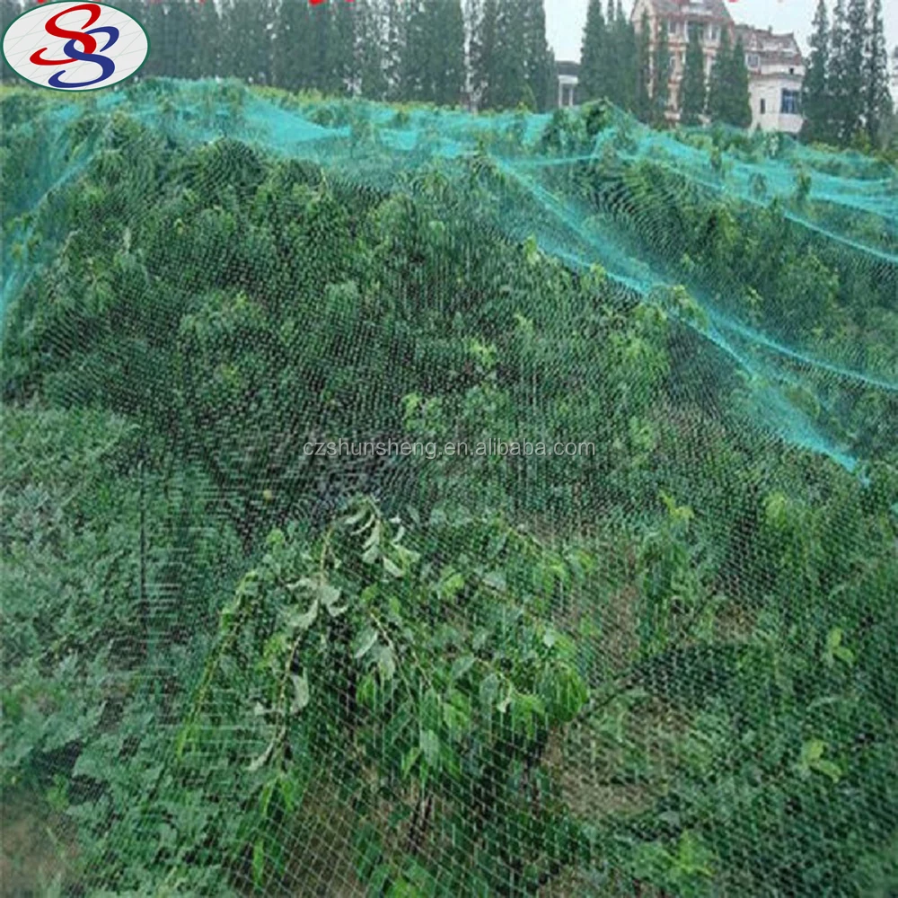 pe knotless garden anti-bird netting