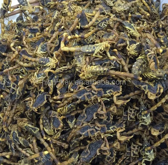 
10016 quan xie chinese medicine herb whole scorpion 