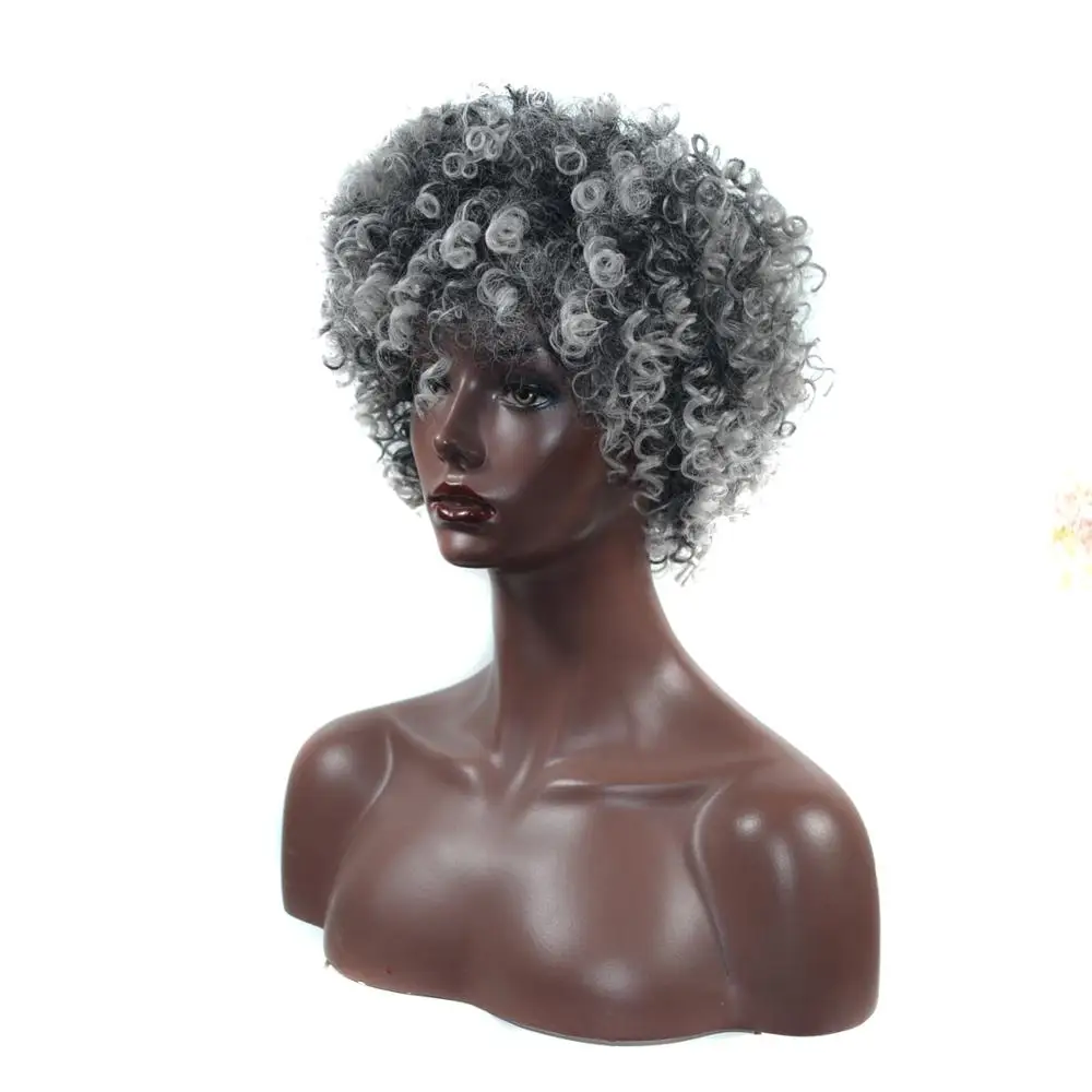 AliLeader Curly Grey Hair New Wigs Synthetic Hair Kinky Curly Wig For Black Women