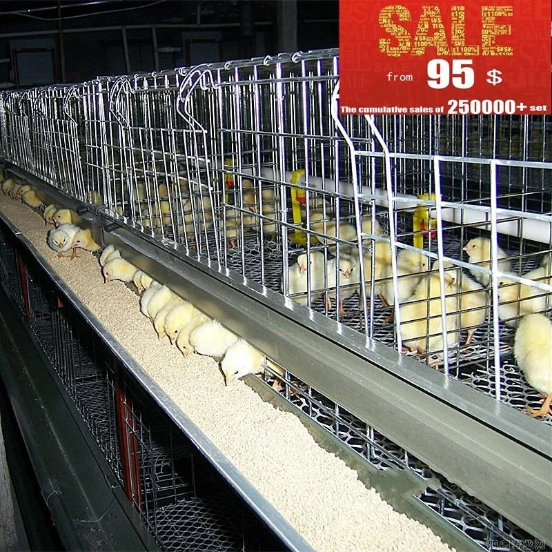 battery chicken cage for commercial broiler