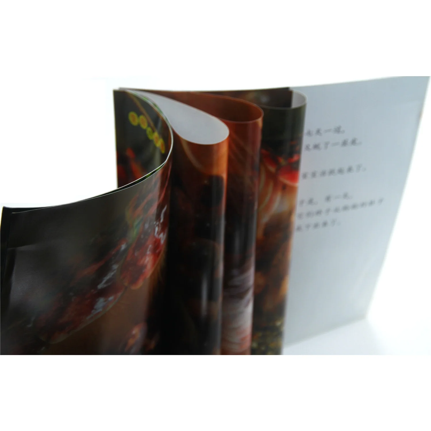 Custom Promotional Book Printing/Magazine Printing/Cheap Book Printing Service