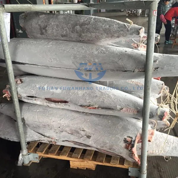 Hot sale HGT black marlin fish frozen marlin tuna
