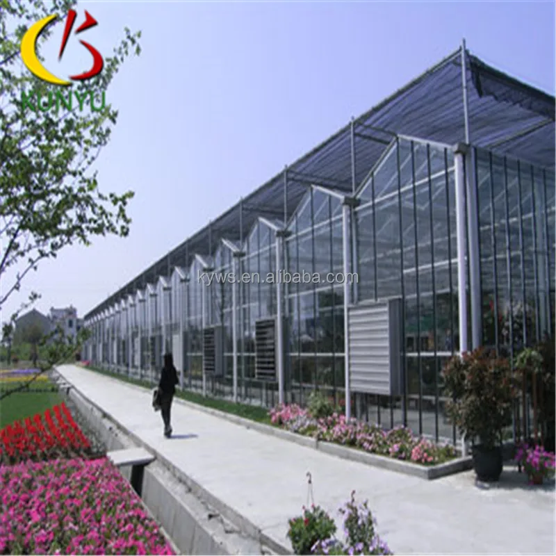 Sawtooth type glass greenhouse cost wood and glass greenhouse