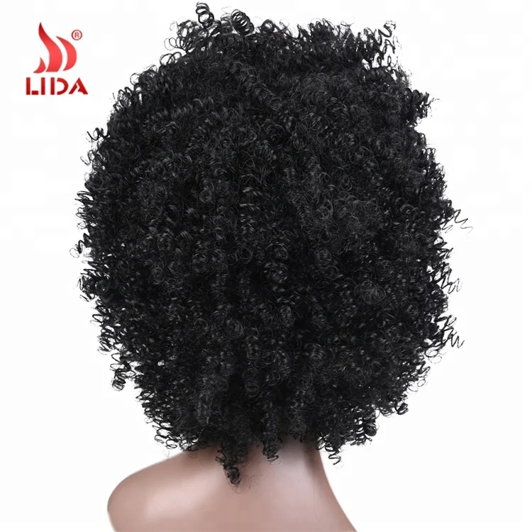 Lida Long Nature Wave Synthetic curls braids Wigs #2/33 Black braiding bouncy curly Hair 6572 wig