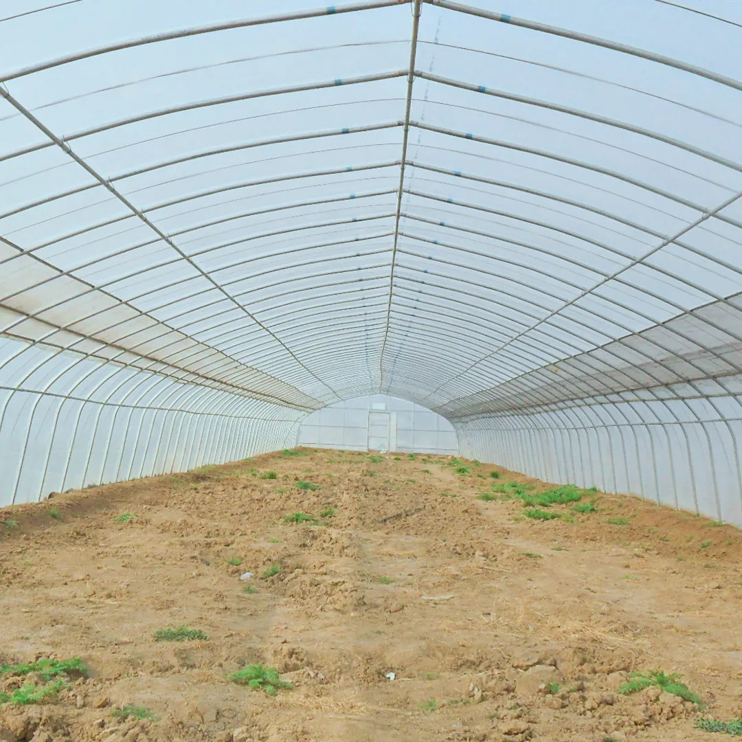 Коммерческая/Сельскохозяйственная Однопролетная пленочная теплица, одобренная парниковым рынком
