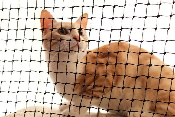 anti cat deer pig net knotted cat nets cat window net