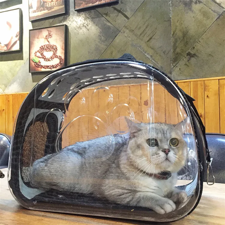 Transparent Pet Carrier Travel Bag for Small Dogs and Cats, Foldable Pet Travel Kennel Portable Pet Carry Handbag