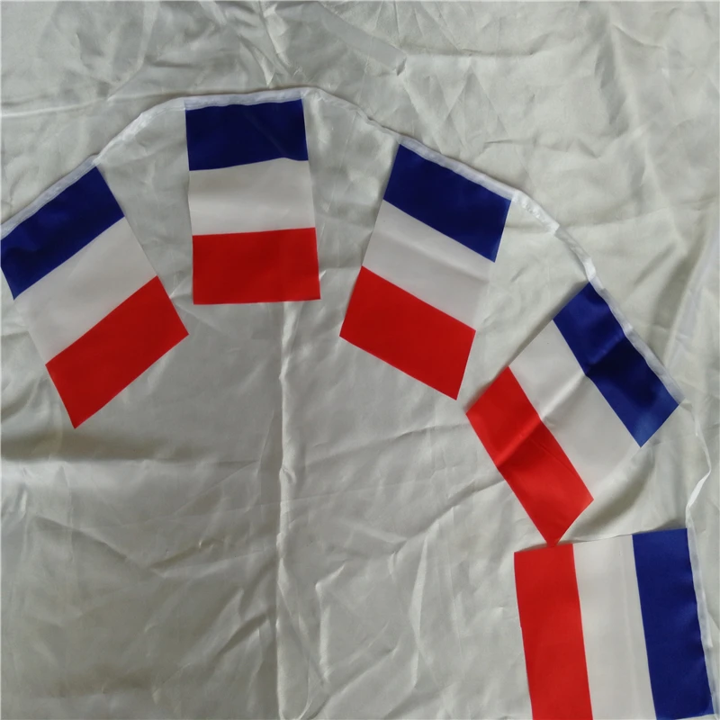 custom France car window flags car mirror cover flag