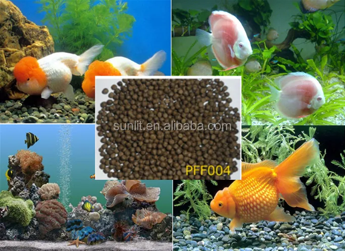 
Animal pet food production line dog food production line china fish feed making machine 
