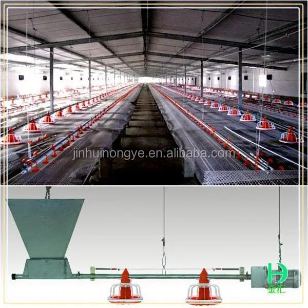 
Poultry farm house design for broiler chicken 