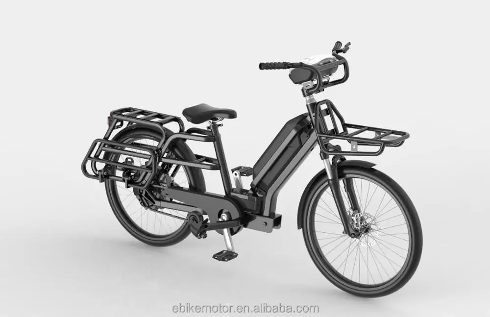 cargo ebike with larger carry capacity