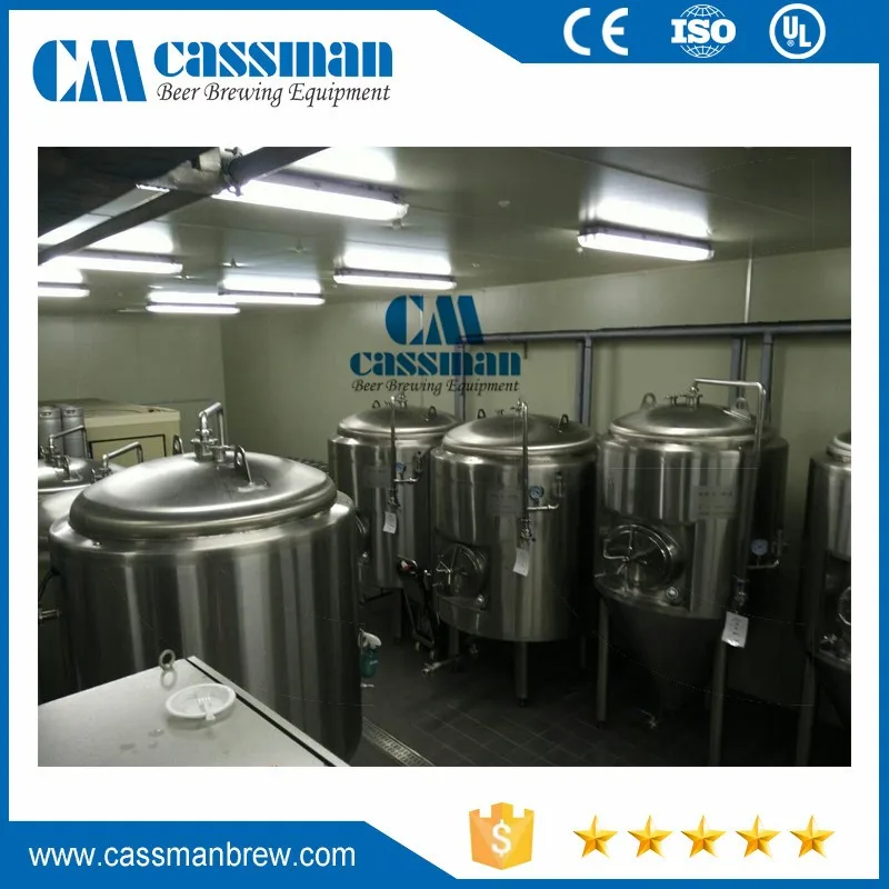 Cassman 20L beer keg washer for brewery