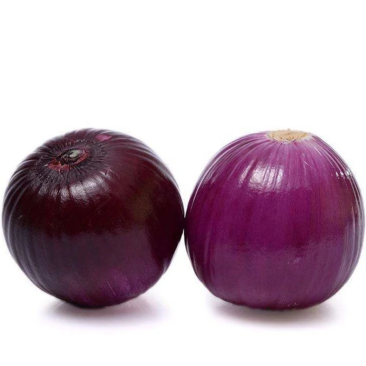 
S539 Yang Cong 100% Pure Nature Chinese Vegetable Red Onion Seeds For Planting 