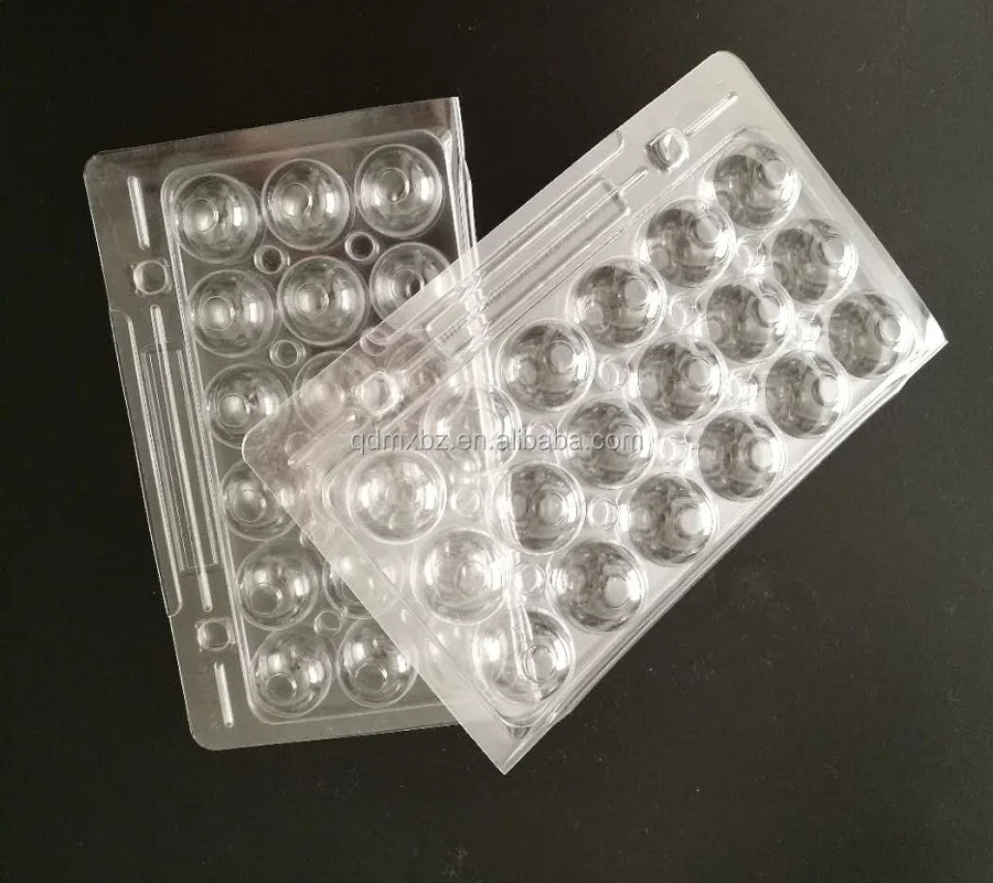 plastic quail egg tray,quail egg cartons for sale,quail egg packaging