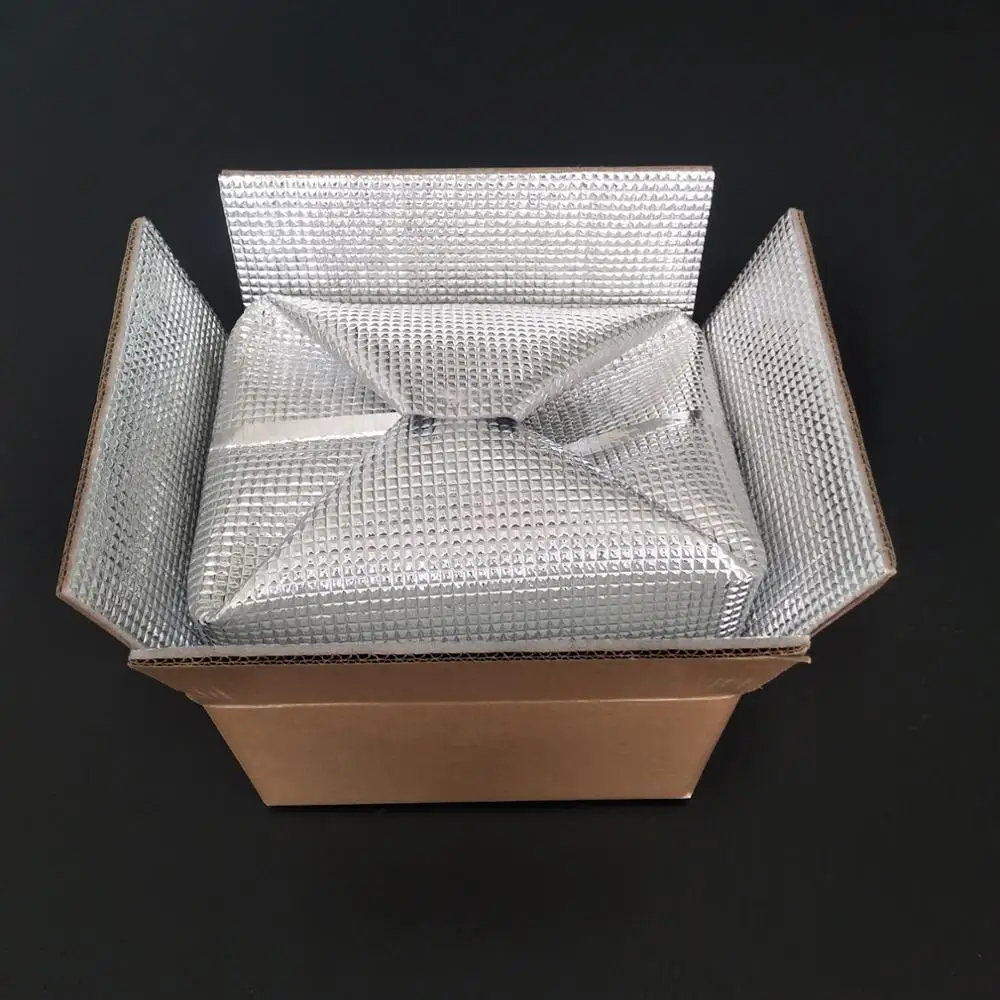 Foam Thermal Insulation Disposable Food Warmer Delivery Bags Insulated Cooler Bag