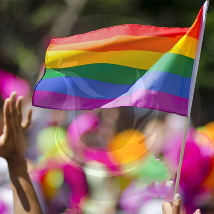 
Custom Promotion Cheap Rainbow Lesbian And Gay Pride Hand Flag 