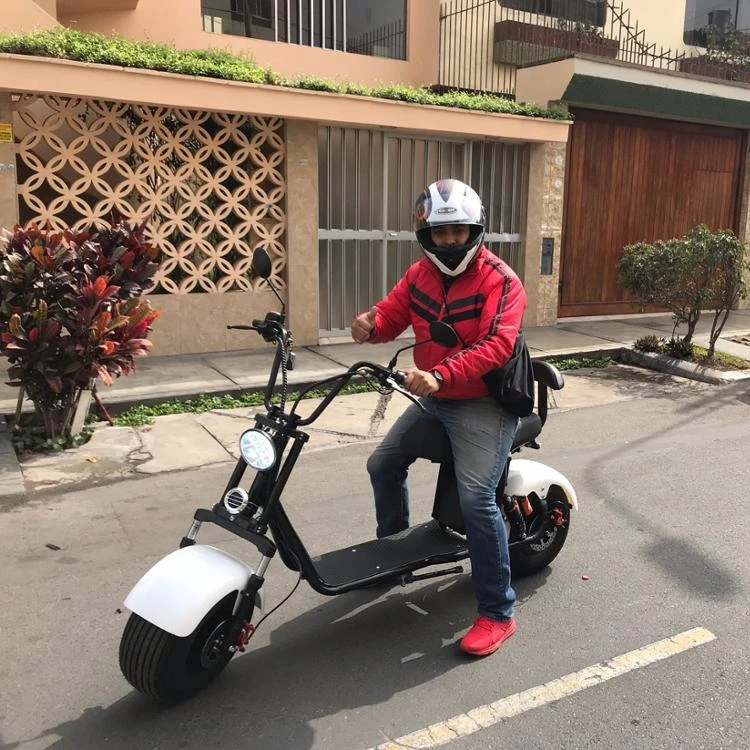 2 wheel scooter with big tire made in china with perfect waterproof removable battery