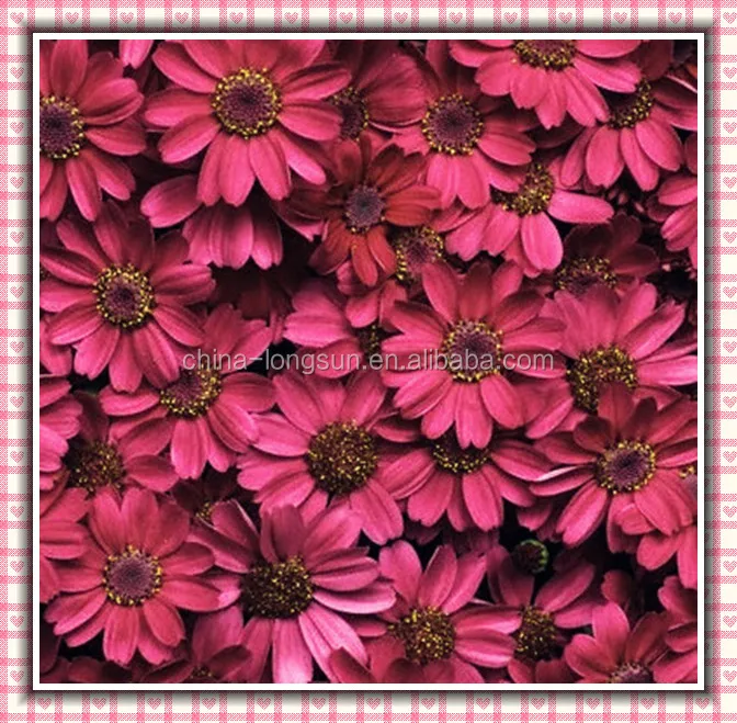 LSD-1230619 Декоративные небольшой ромашка цветок гобелен цветы