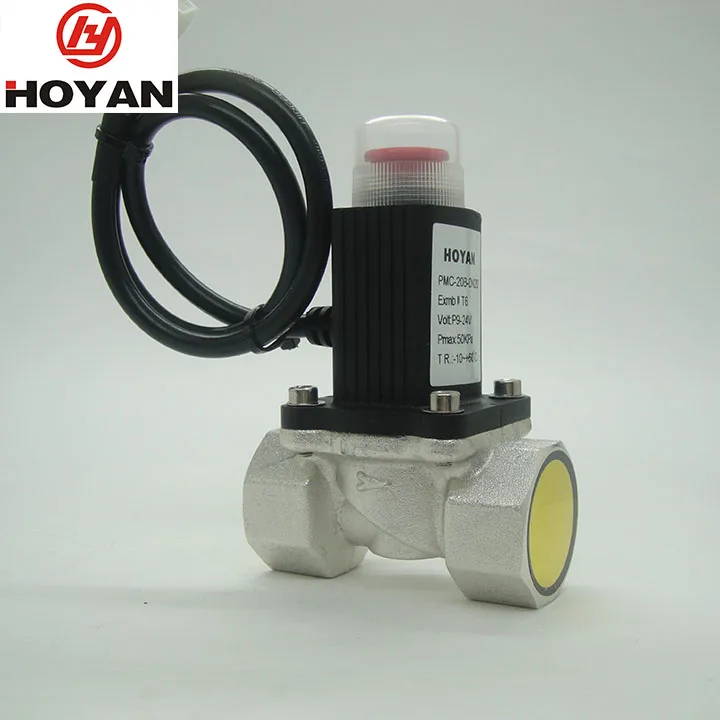 Town natural Gas Lpg Gas Solenoid Valve   with Gas Detector