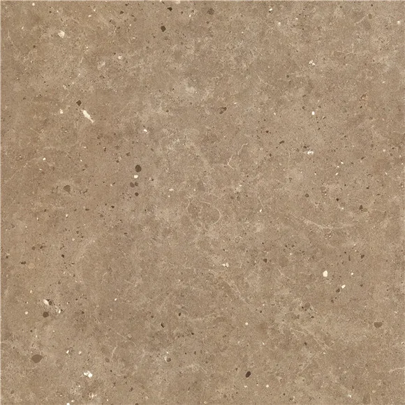 anti slip Matte finish porcelain ceramic wall and floor tiles price