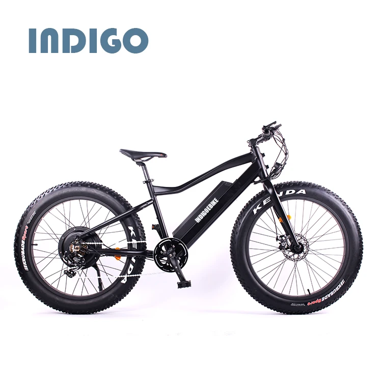 China Supplier Mountain Fat Tire Electric Bike mid motor tyre electric bike/bycicle/ebike 750w electric bike