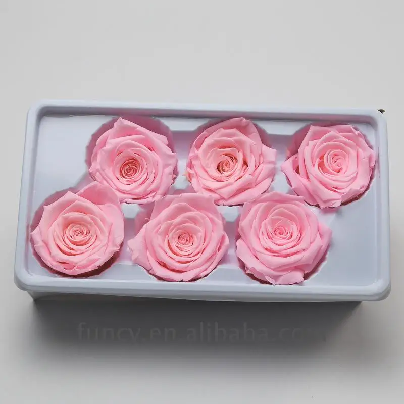 Wholesale A Grade 6 cm Pink Color Preserved Infinity Roses Flower Head From Yunnan FuncyFlora