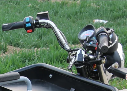 Electric tricycle  disabled and wheelchair man,ev electric car for disabled