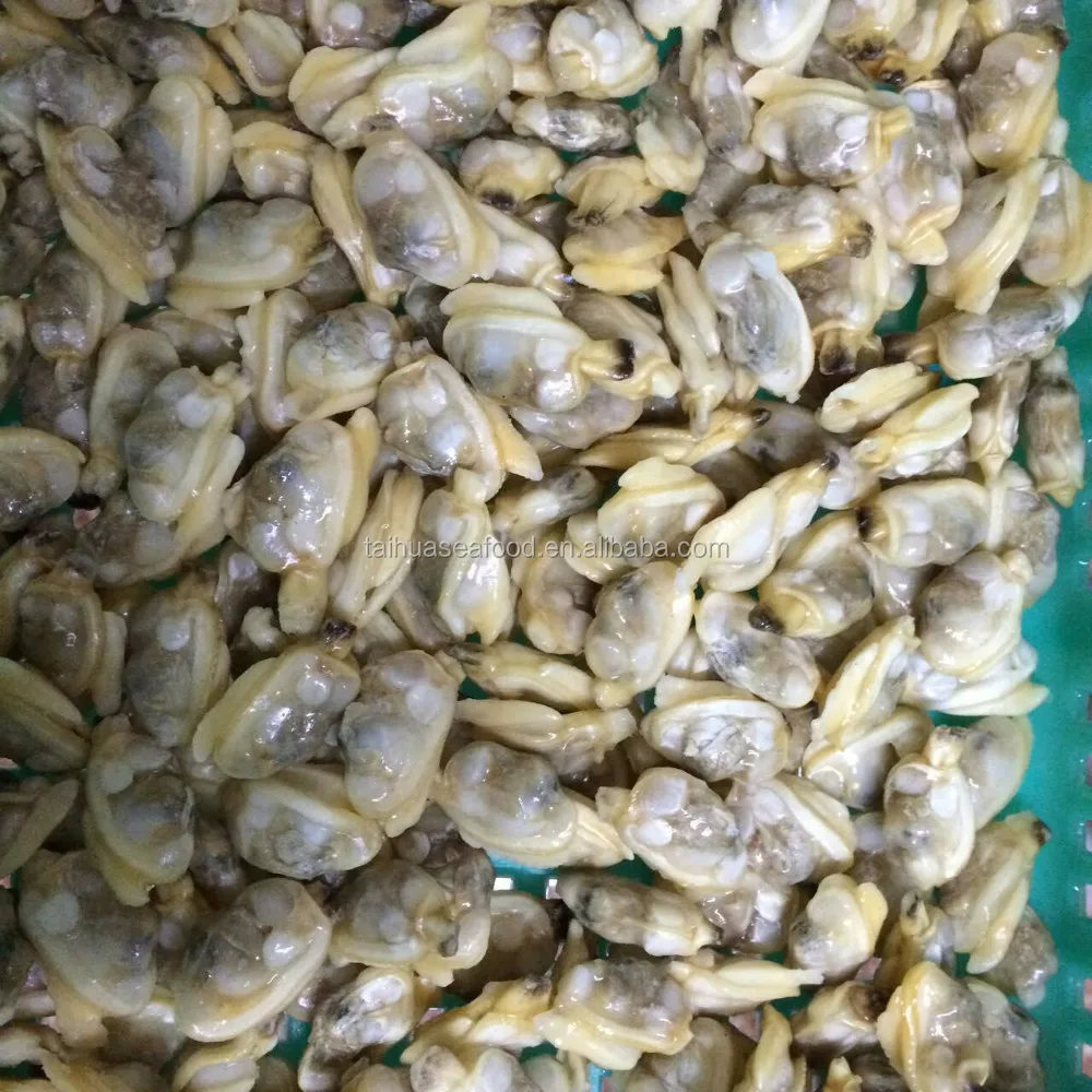 
IQF frozen shellfish clam without shell from Chinese seafood supplier 
