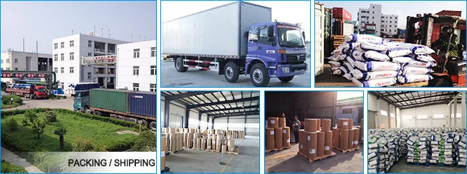 
800 mesh calcium carbonate price per ton 