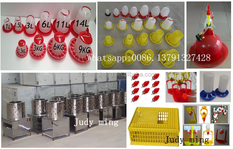 incubator for chicken eggs ZH-528 used for chicken egg poultry farm best price energy saving Industrial egg incubator