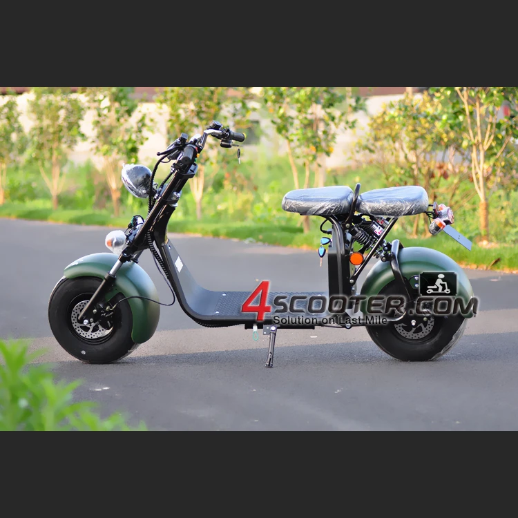 COC and CE Certification citycoco 2 wheel electric scooter