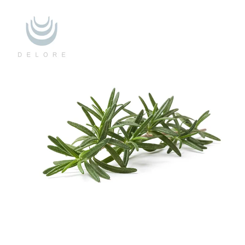 Rosemary Leaf Extract powder/liquid 15% Carnosic Acid for beef/meat product antioxidant