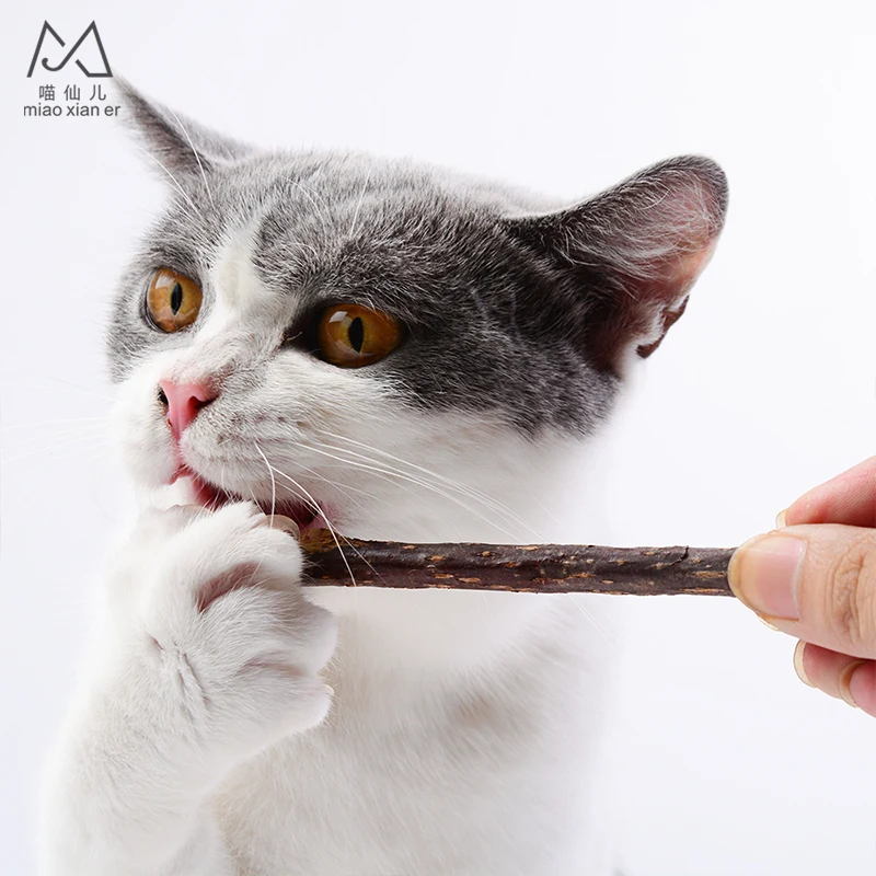Cat Cleaning Teeth Natural Catnip Pet Cat Molar Toothpaste Stick Matatabi Actinidia Fruit Silvervine Cat Snacks Sticks