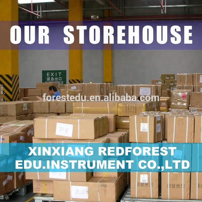 Human Skull Model Life Size 3 Teeth Removable Anatomy 3 Parts Skull Model of Human