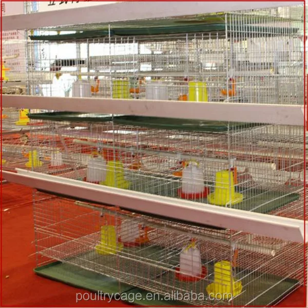 Direct Factory One Day Broiler Chicks Rearing Cages/Growing Broiler Chicken Cage For Sale(A Type & H Type Chick Cage
