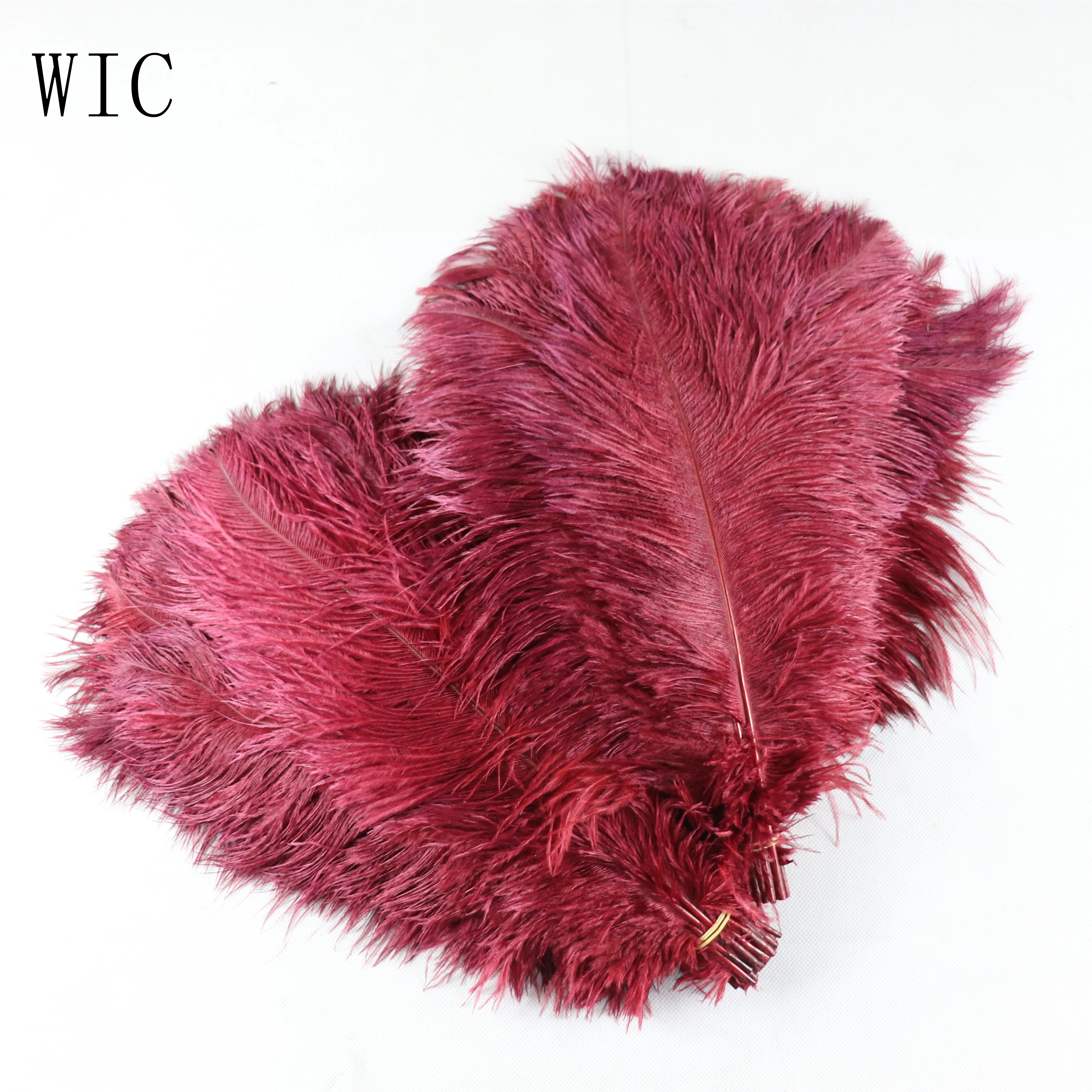 Carnival Costume Decoration 15-45cm Dyed Colorful Ostrich Feathers for Festival Samba Garments