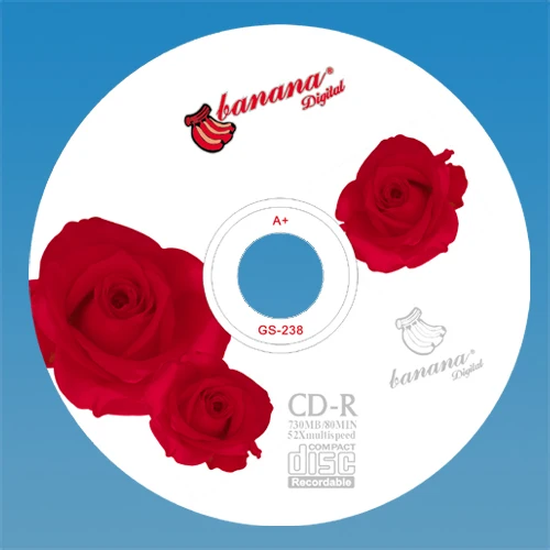Blank CD-R Discs