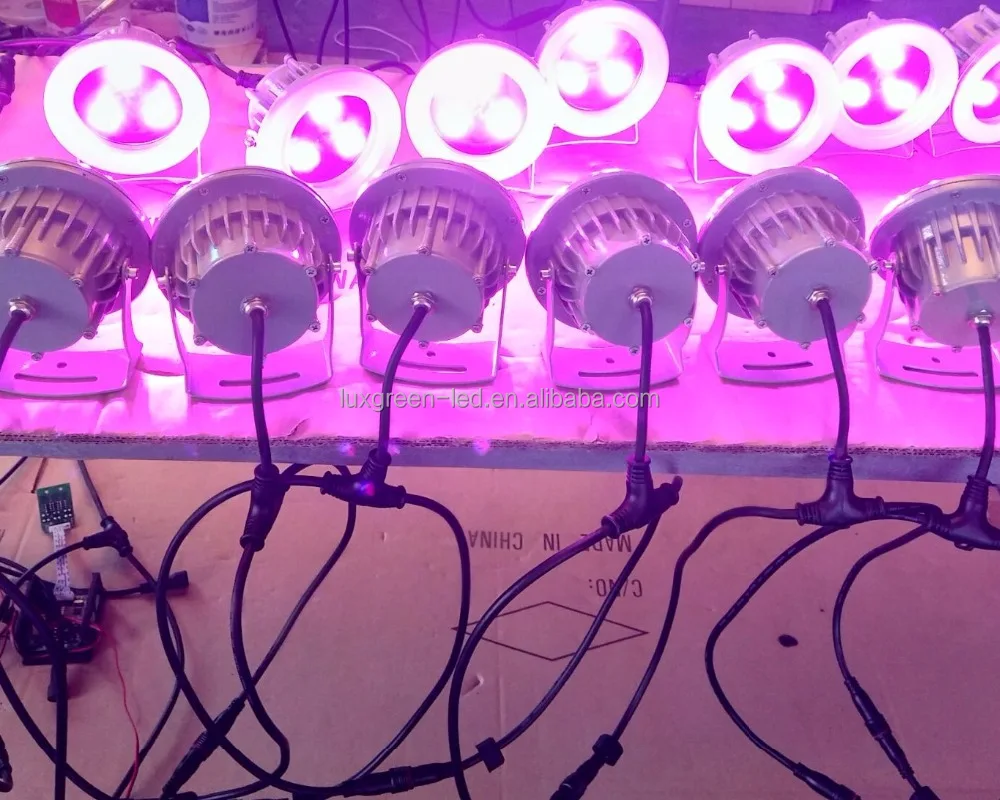 24V DC IP65 RGBW 4in1 1*8W, 3*8W, 5*8W led outdoor garden lights with 3 years warranty