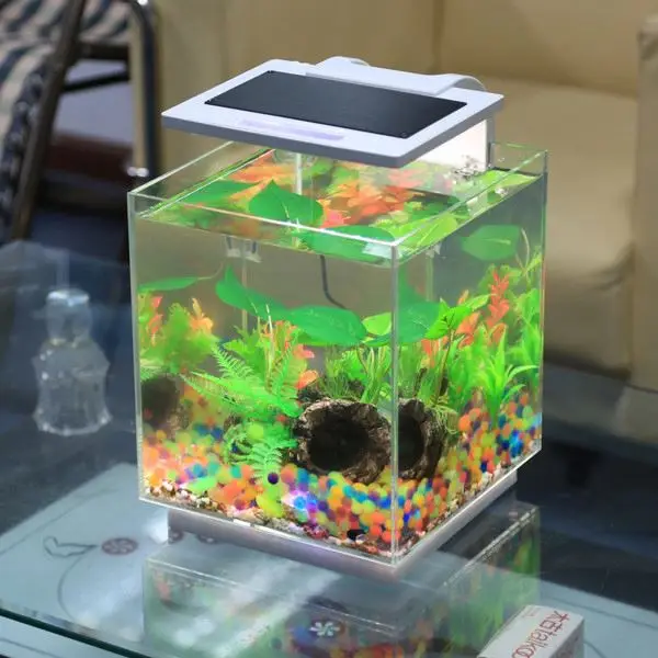 SUNSUN wholesale aquarium fish exporter in kerala ATK-250