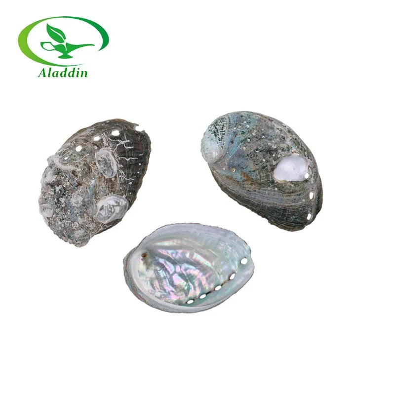herbal plant extract Abalone Shell Powder Products highly nutrition