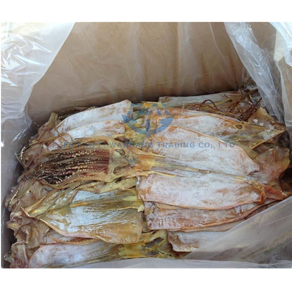 
dried illex squid price 