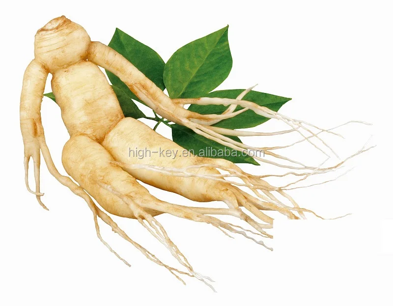 
5006 Ren Shen Ye Ginseng Changbai Mountain Green Ginseng Leaf 