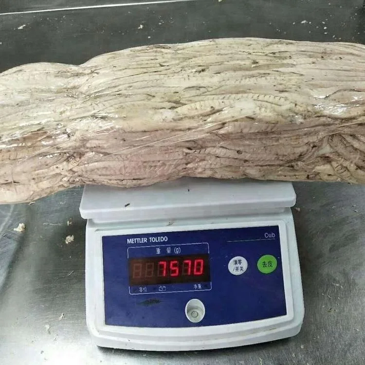 Precooked Auxis Thazard frozen Bonito Tuna Loins and Flakes