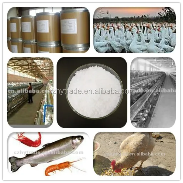 
Chemical formula betaine hcl 98% feed grade for poultry and livestock 