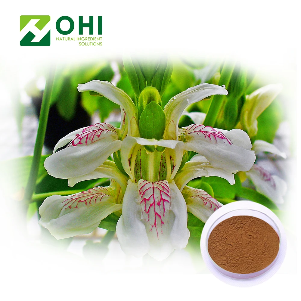 Vasa 98% Vasicine | Adhatoda Vasica Nees extract 10:1