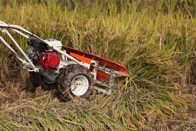 
garlic harvesting machinery TNS-4S-120 REAPER 