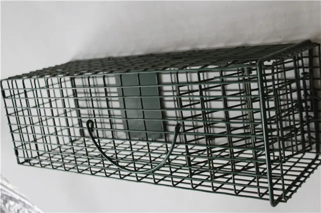 Cage Rat Traps Rat Bird Cat Rabbit Trap Wild Animal Trap For Animals